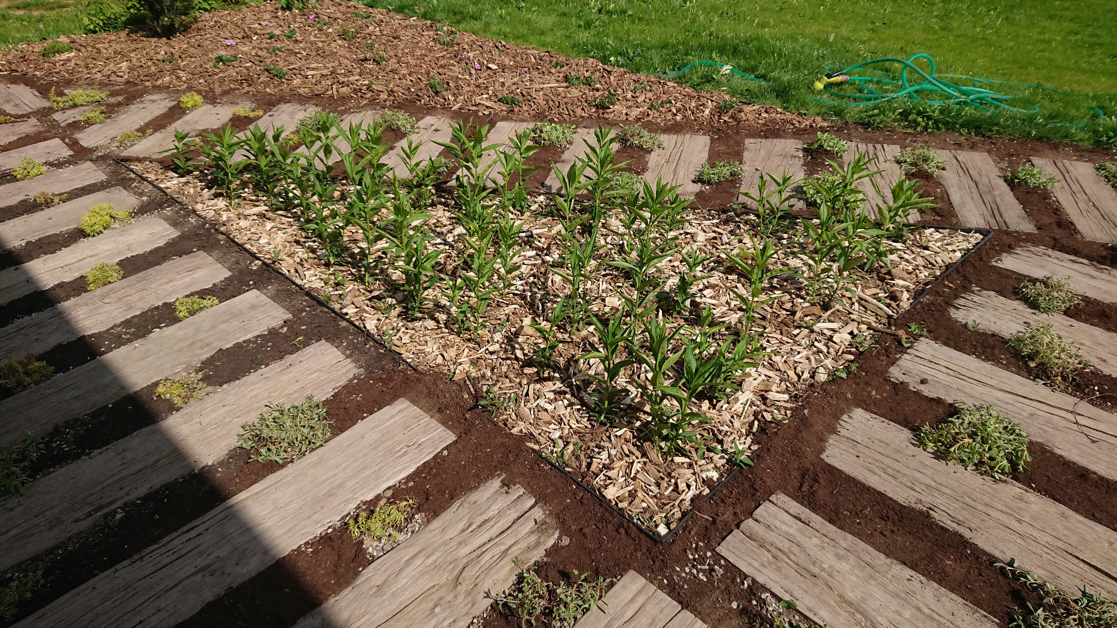 Beautiful garden 1