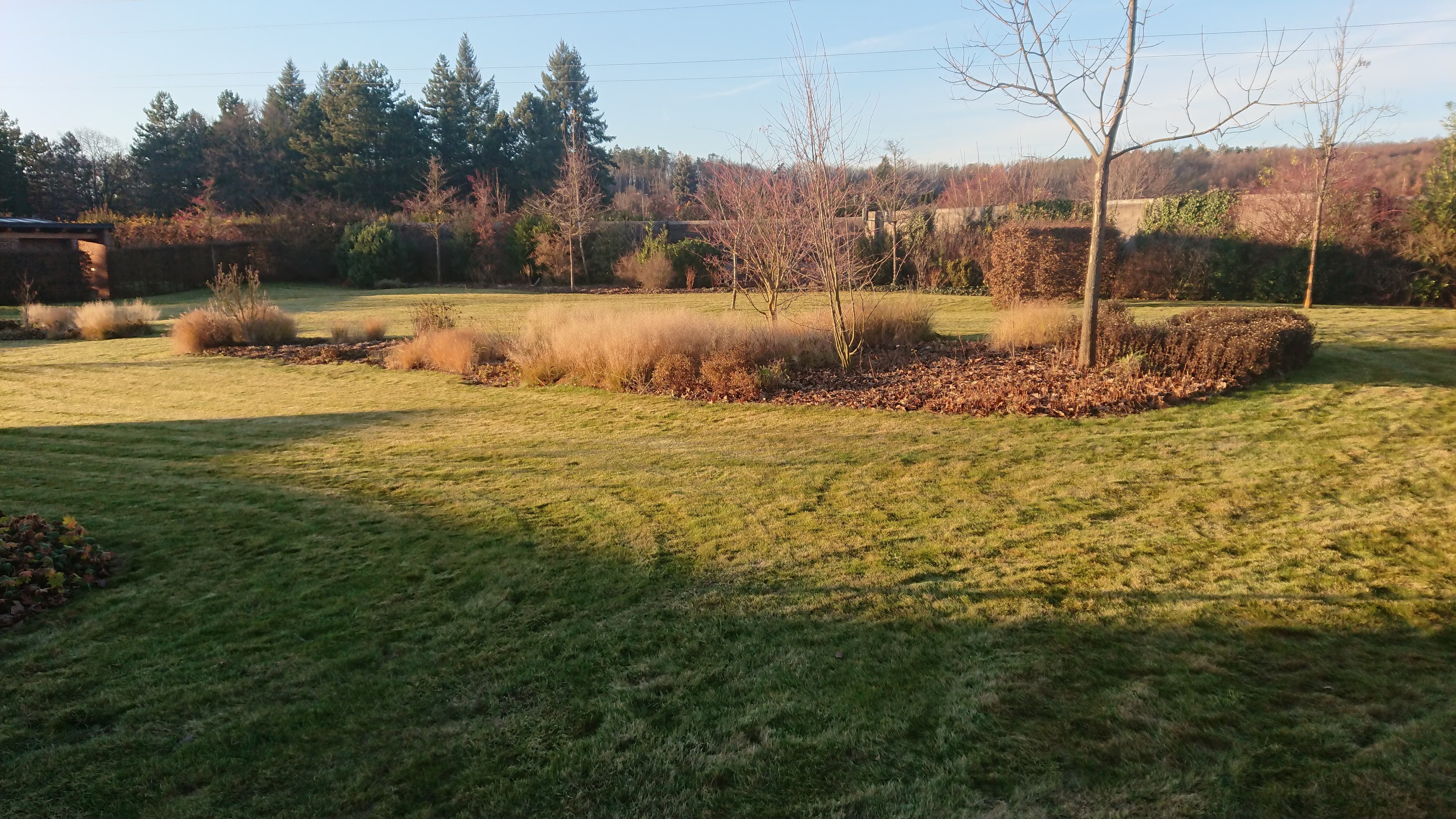 Beautiful garden 3