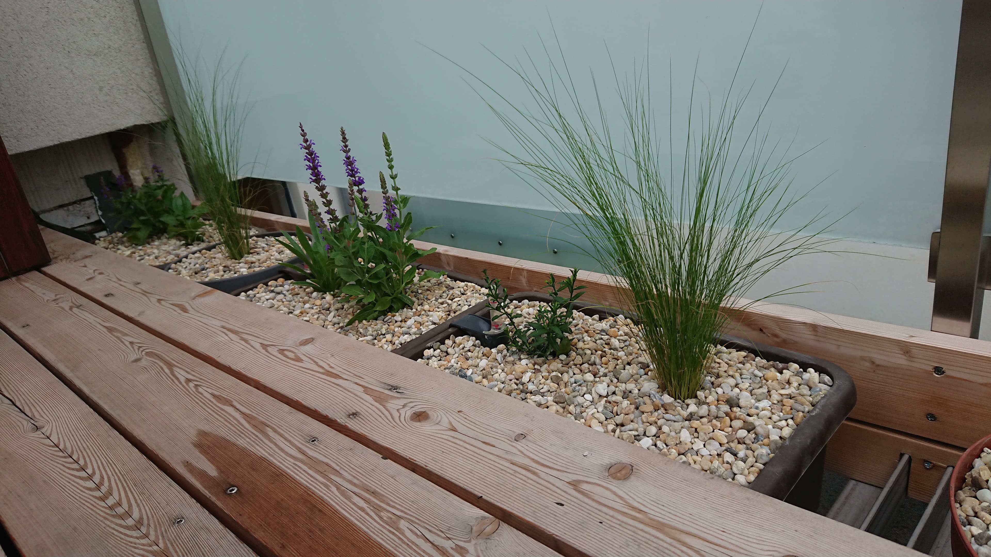 Beautiful garden 4