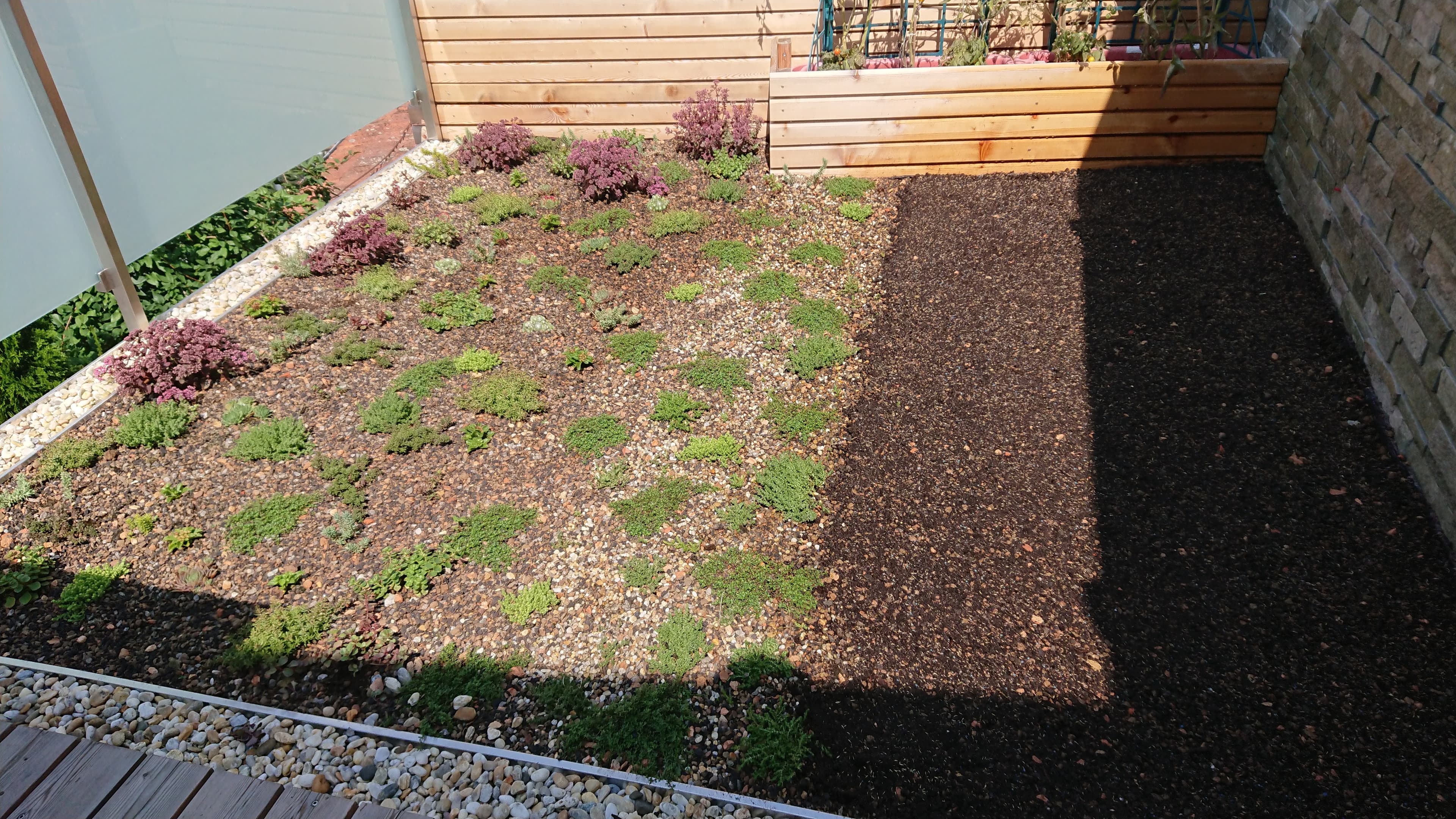 Beautiful garden 5