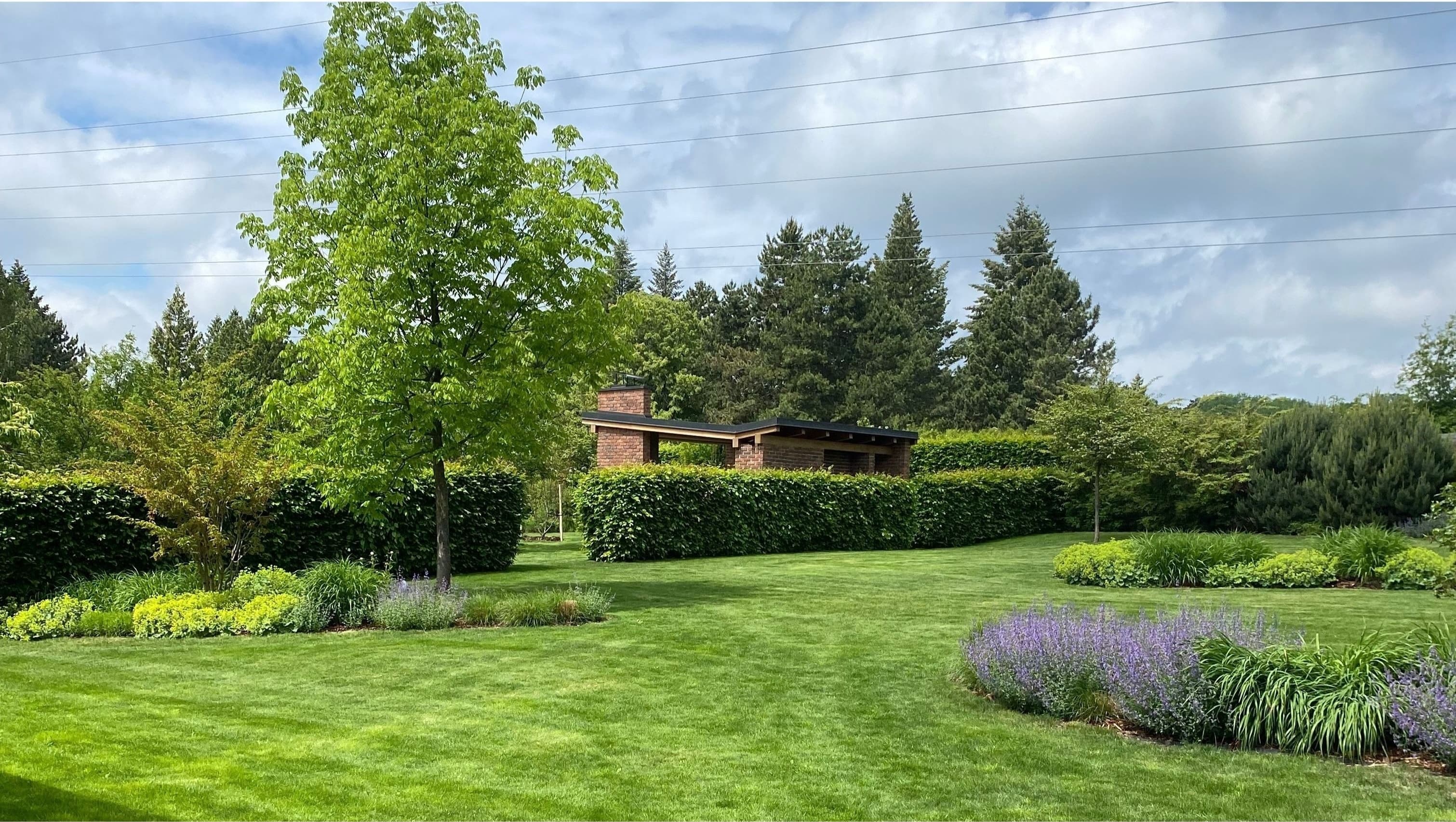 Beautiful garden 7